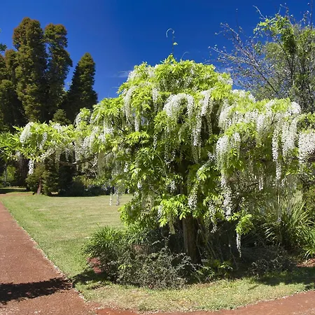 Aldeamento Turístico Palheiro Village